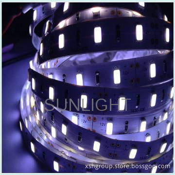 High brightness 9.6W/m led strips waterproof 240leds/m for decoration